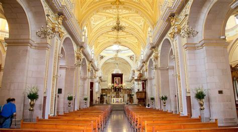 De Catedral de Santa María de la Asunción: Een Monumentale Schat vol Geschiedenis en Mystiek!